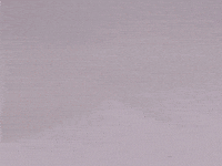 Cat Tango GIF