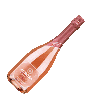 Wine Rose Sticker by Vinícola Aurora