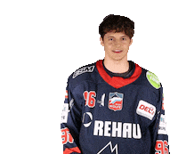 Listen Ice Hockey Sticker by Selber Wölfe