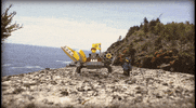 lego sad ninjago defeated crabby GIF