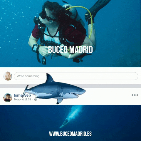 GIF by Buceo Madrid