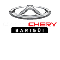 Hyundai_barigui barigui caoa caoa chery barigui chery barigui Sticker