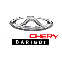 Hyundai_barigui chery barigui caoa caoa chery Sticker