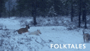Arctic Circle Running GIF by Magnolia Pictures