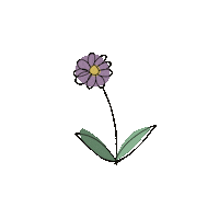 Flower Sticker