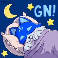 Tired Good Night GIF by Toshithecat