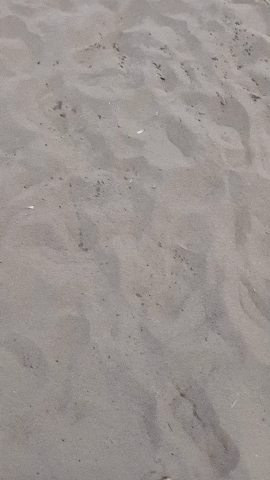 Simongip giphyupload GIF