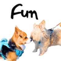 Fun Friend Sticker