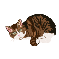 Sleepy Tabby Cat Sticker