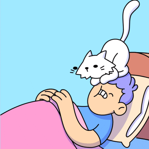 Wake Up Cat GIF by doodles
