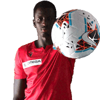 Serie A Thiam Sticker by SPAL