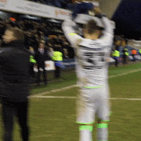 Come On Yes GIF by MillwallFC