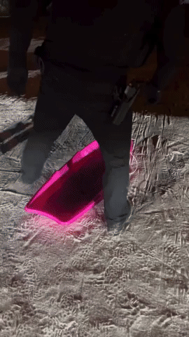 Need for Speed: Officer Ditches Cruiser for Pink Sled