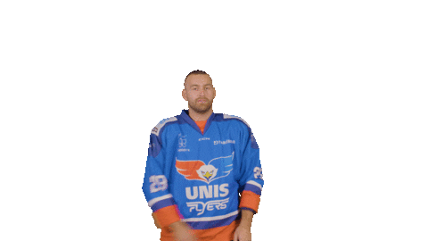 Hockey Den Sticker by UNIS Flyers