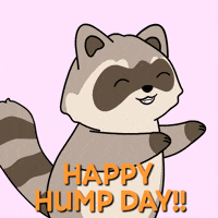 Wednesday Raccoon GIF by Ordinary Frends