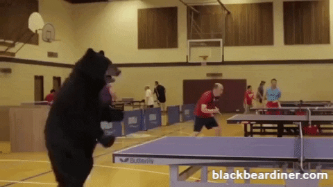 BlackBearDiner giphyupload bear score bears GIF