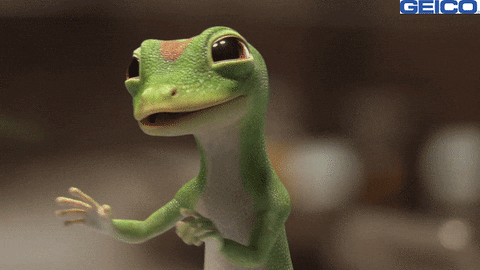 Cringe Cringing GIF by GEICO