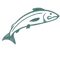 Fish Alaska Sticker