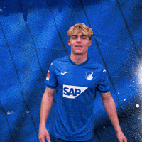 Sport Bundesliga GIF by TSG Hoffenheim