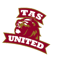 toowoombaanglicanschool toowoomba toowoomba anglican school tassport tas rugby Sticker