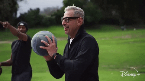 Episode 1 Sneakers GIF by The World According to Jeff Goldblum | Disney+