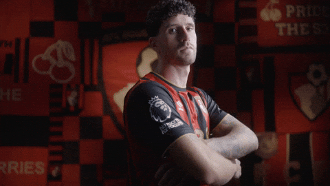 Premier League Football GIF by AFC Bournemouth