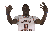 Cnmb Sticker by Carson-Newman Athletics