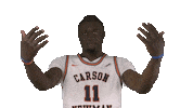 Cnmb Sticker by Carson-Newman Athletics