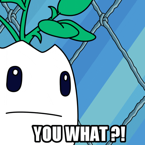 No Way What GIF by Magic Eden