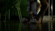 comedy central season 6 episode 7 GIF by Workaholics