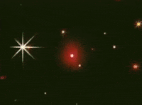echo party GIF