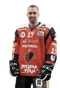 Sport Goal Sticker by HDD SIJ Acroni Jesenice