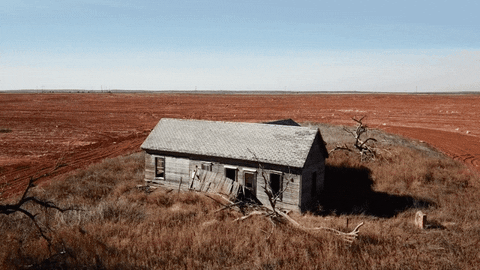 GIF by erica shires