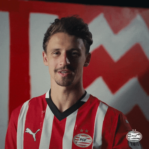 France Eindhoven GIF by PSV