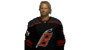 Canes No Sticker by Carolina Hurricanes