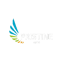 PristineAuto dealership pristine dealerpristine pristineauto Sticker