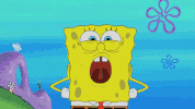 Bob Esponja GIF by Nickelodeon LATAM