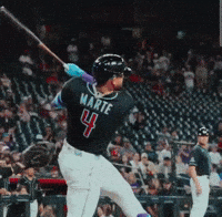 Flip Bat GIF