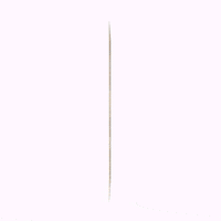 Biblioteca GIF by Memoria Chilena
