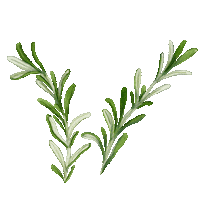 Food Nourish Sticker