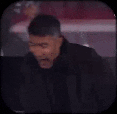 Benfica Lage GIF by vspfilmakers