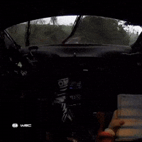 Racing Rallying GIF by FIA World Rally Championship