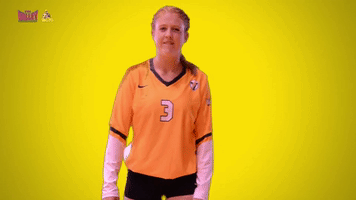 mvcvu GIF by Missouri Valley Conference