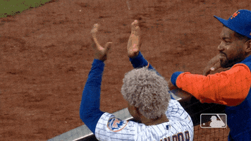 Celebrate Ny Mets GIF by New York Mets