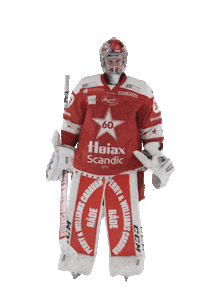 Stjernen Alag Sticker by StjernenHockey