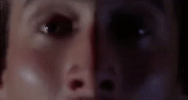 nicolas cage GIF