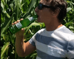 Drink Refreshing GIF by Switzerfilm