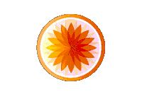 Bike Spin Sticker by TEAMride Studios