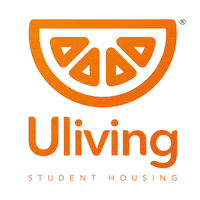 UlivingBrasil instagram laranja viver coliving Sticker