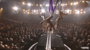 pink pink p!nk glitter in the air 2010 grammy awards GIF